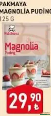 PAKMAYA MAGNOLİA PUDİNG 125 G fiyat ve kampanya bilgisi